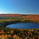 Illustration for article titled 100 Gorgeous Photos Of Fall Leaves